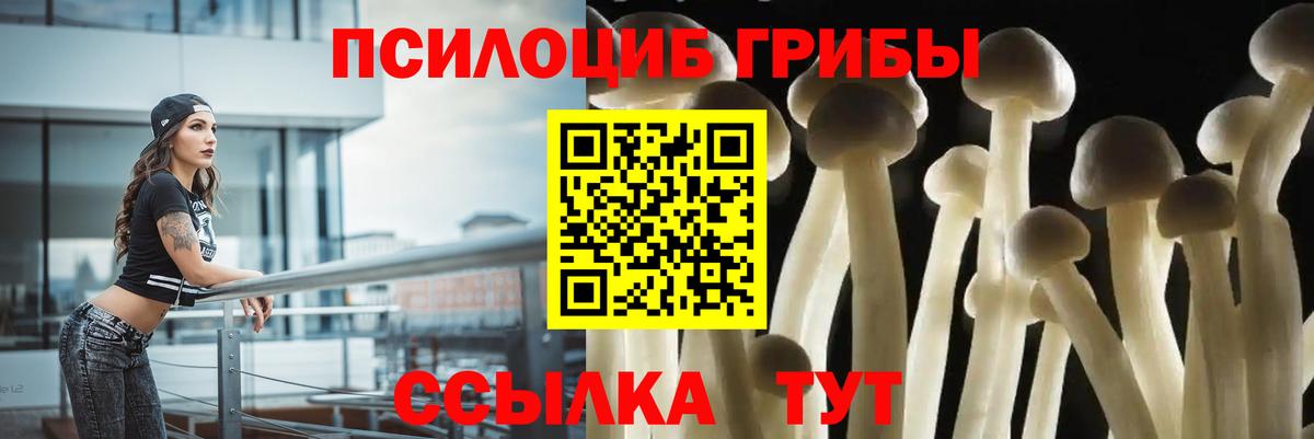 Псилоцибиновые грибы Psilocybine cubensis  даркнет сайт  Серпухов  Вход с VPN  Псилоцибиновые грибы Cubensis 
